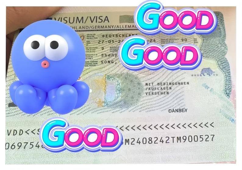 恭喜宋同学获批语言签证~